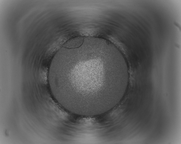 X0000103460065200809191821