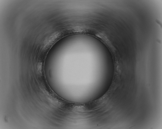 X0000103460066200809191821