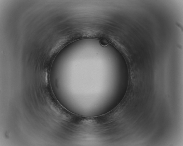 X0000103460067200809191821