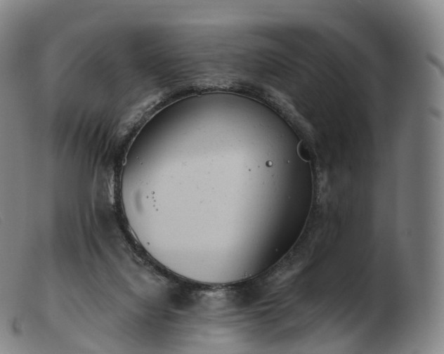 X0000103460068200809191821