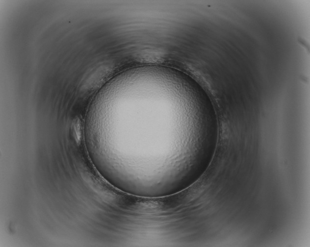 X0000103460069200809191821