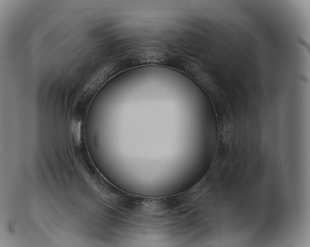 X0000103460070200809191821