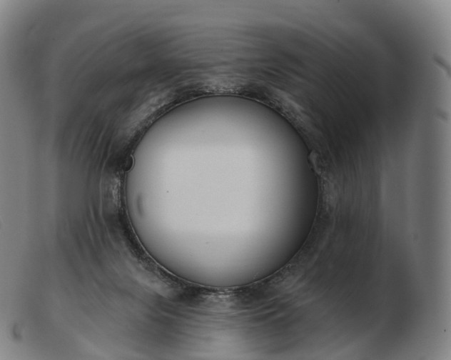 X0000103460071200809191821