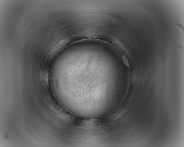 X0000103460072200809191821