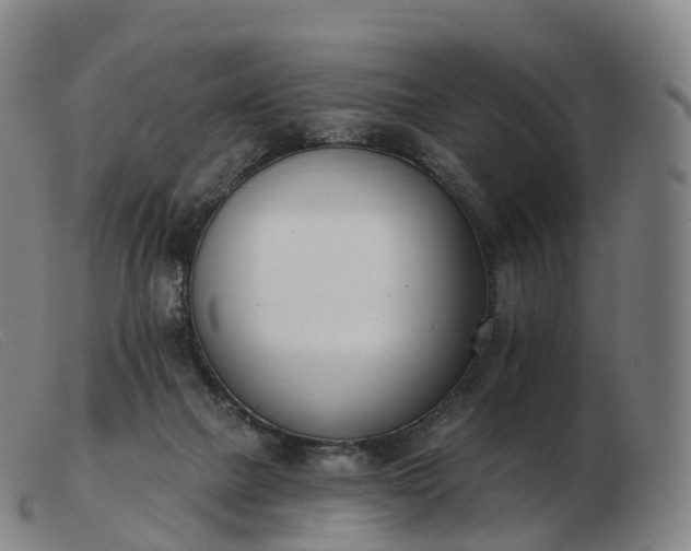 X0000103460073200809191821