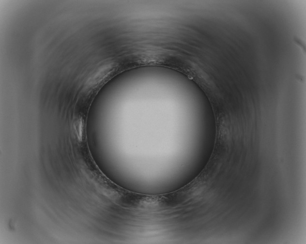 X0000103460076200809191821