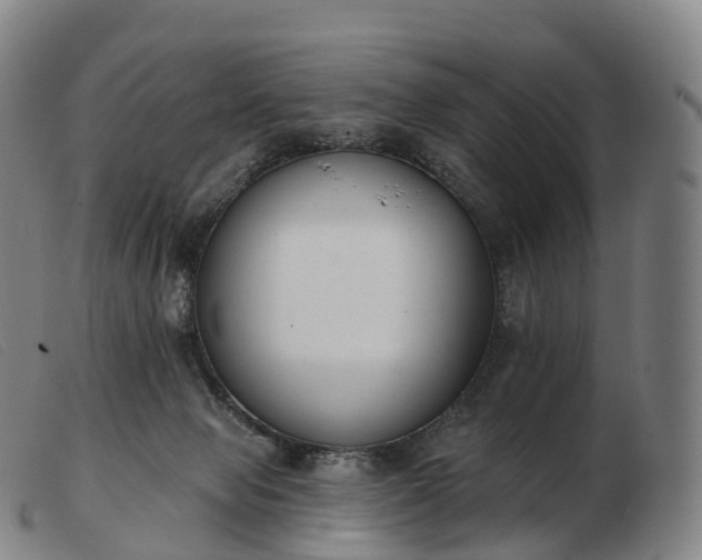 X0000103460077200809191821