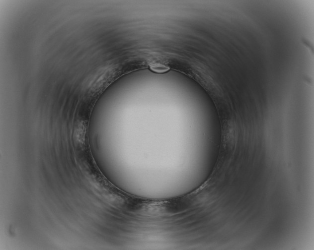 X0000103460078200809191821