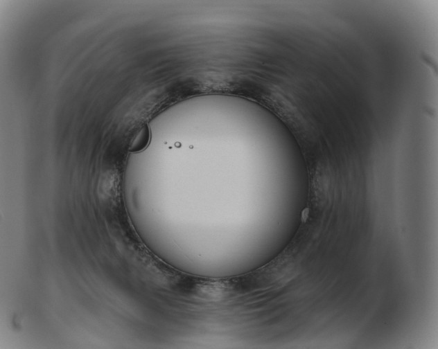 X0000103460079200809191821