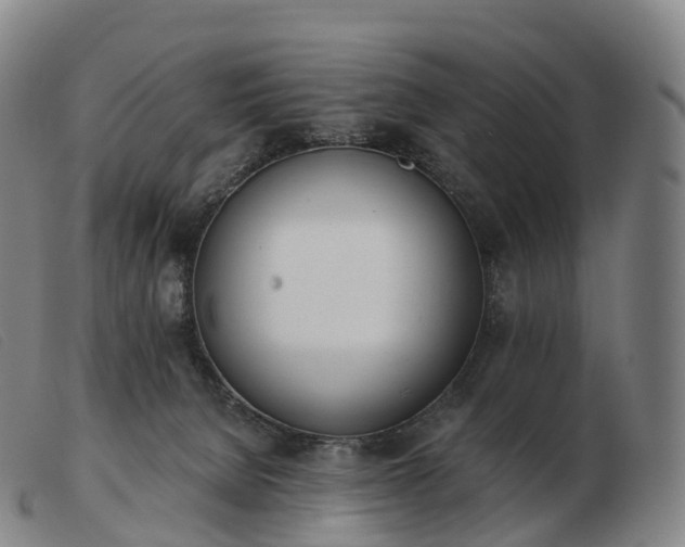 X0000103460080200809191821