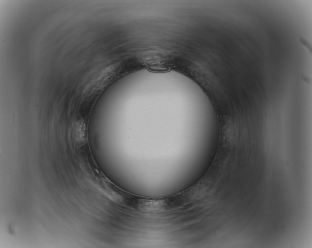 X0000103460081200809191821