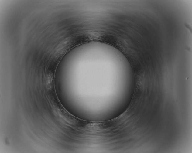 X0000103460082200809191821