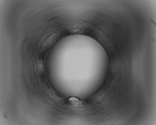 X0000103460085200809191821