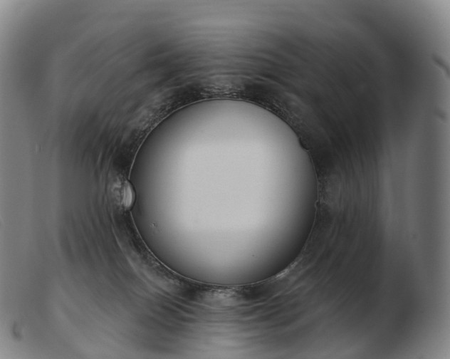 X0000103460086200809191821