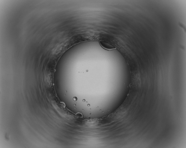 X0000103460088200809191821