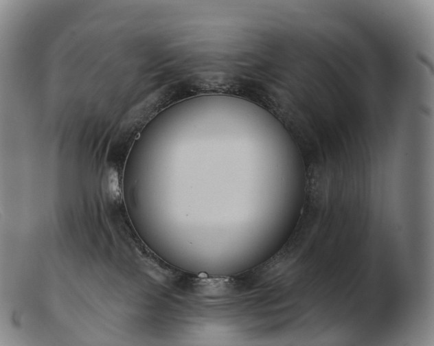 X0000103460089200809191821