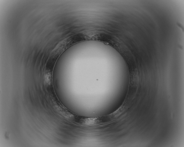 X0000103460090200809191821