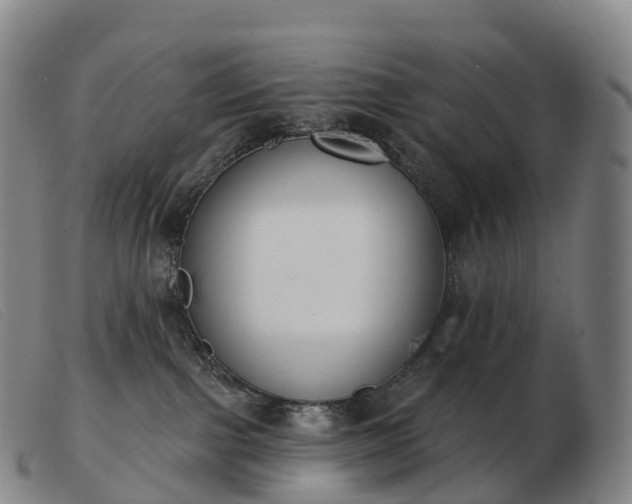 X0000103460091200809191821