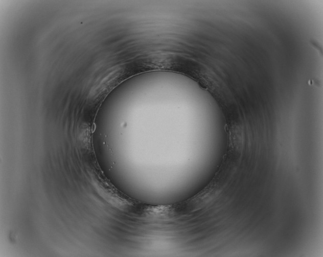 X0000103460092200809191821