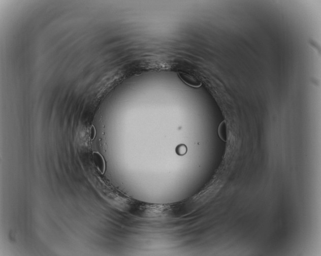 X0000103460096200809191822