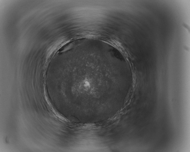 X0000103460097200809191821