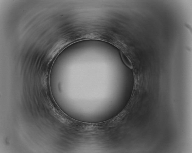 X0000103460098200809191821