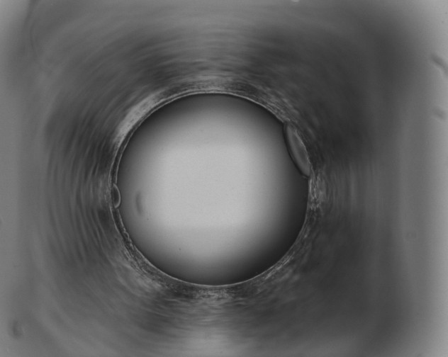 X0000103460099200809191821