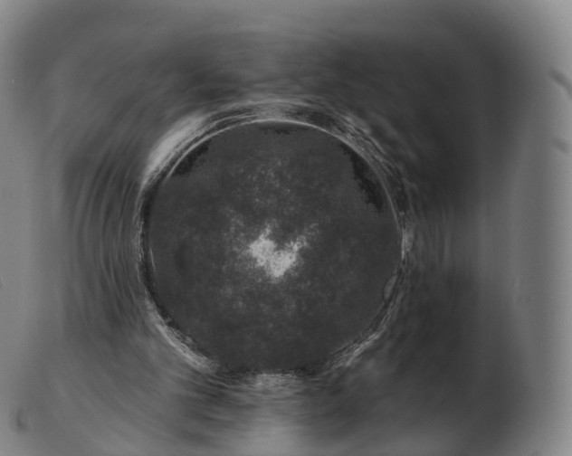 X0000103460101200809191821