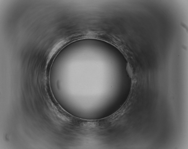 X0000103460102200809191821