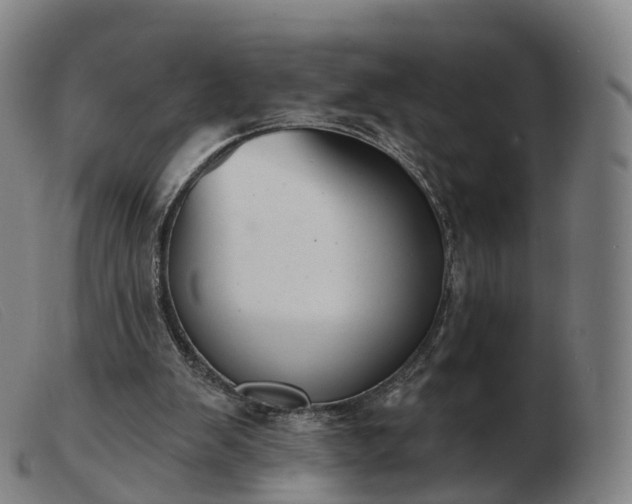 X0000103460103200809191821