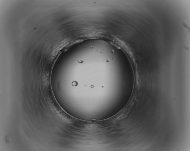 X0000103460105200809191821