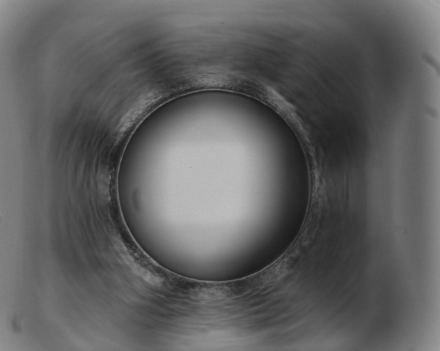 X0000103460106200809191821