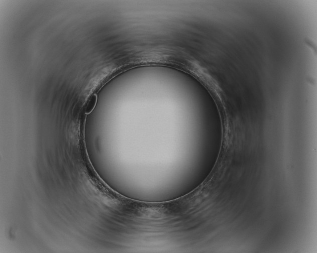 X0000103460107200809191821