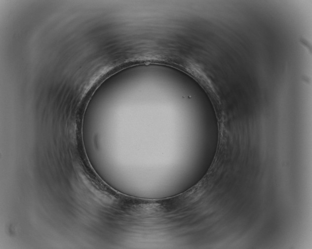 X0000103460108200809191821