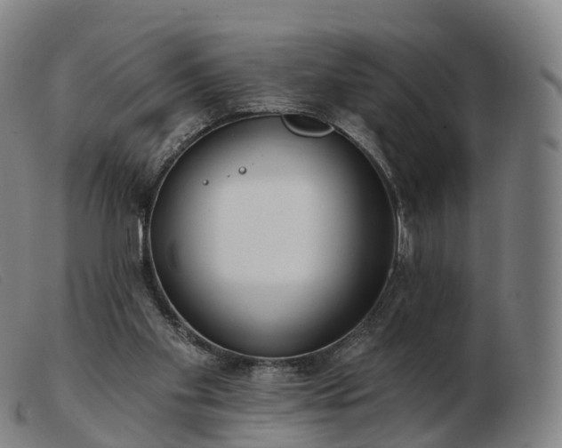 X0000103460109200809191821