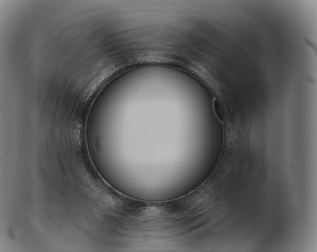 X0000103460111200809191821