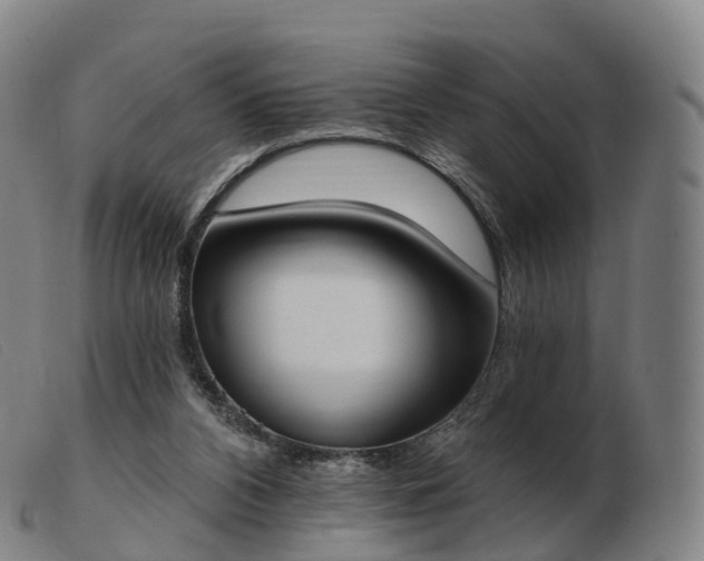 X0000103460112200809191821