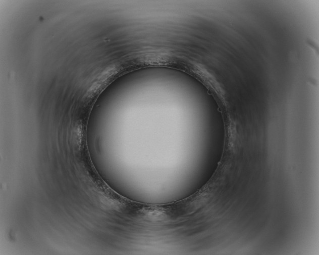 X0000103460113200809191821