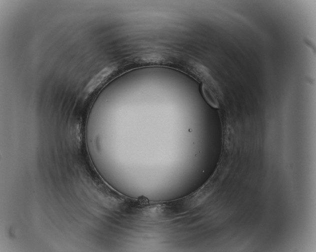 X0000103460116200809191821