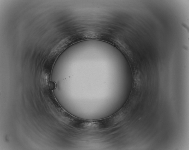 X0000103460117200809191821