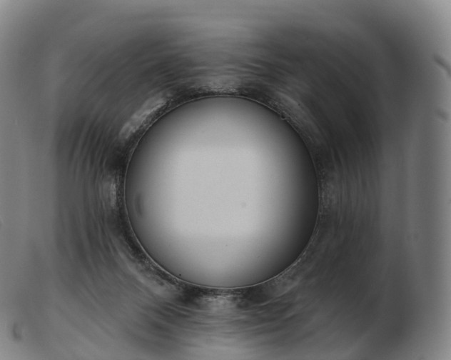 X0000103460120200809191821