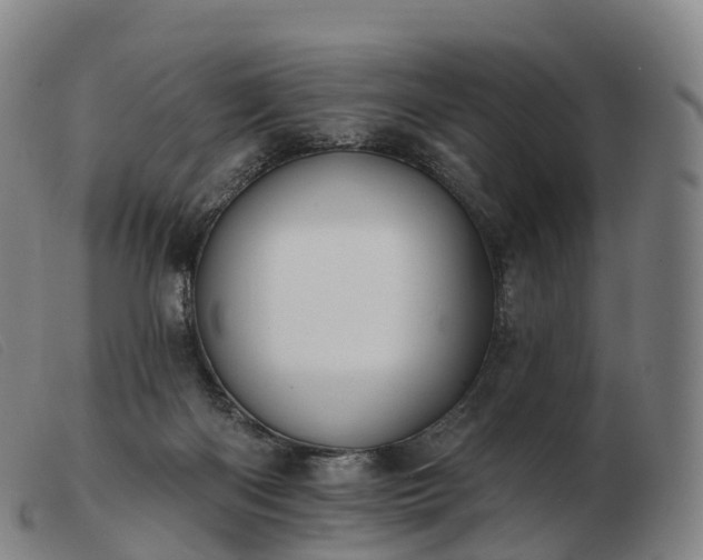 X0000103460122200809191821