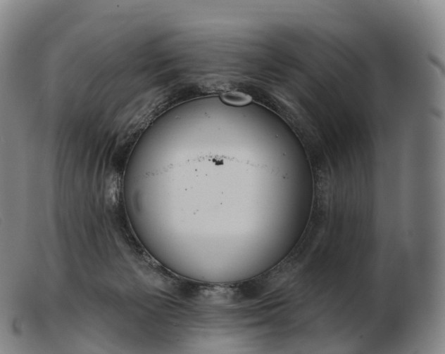 X0000103460125200809191820