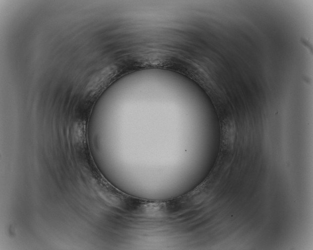 X0000103460126200809191820