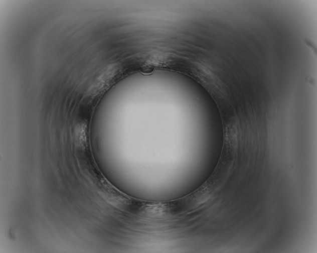 X0000103460127200809191820