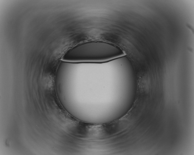 X0000103460132200809191820