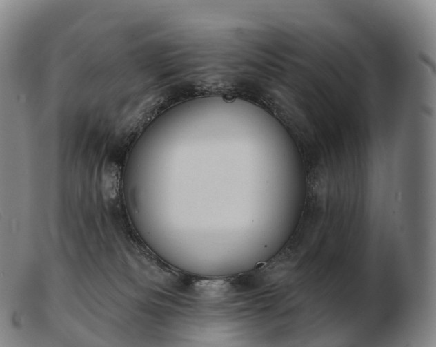 X0000103460133200809191820