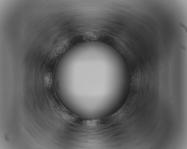 X0000103460134200809191820