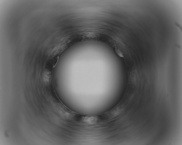 X0000103460135200809191820