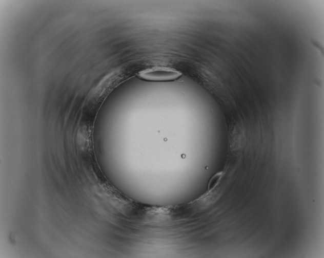 X0000103460140200809191820